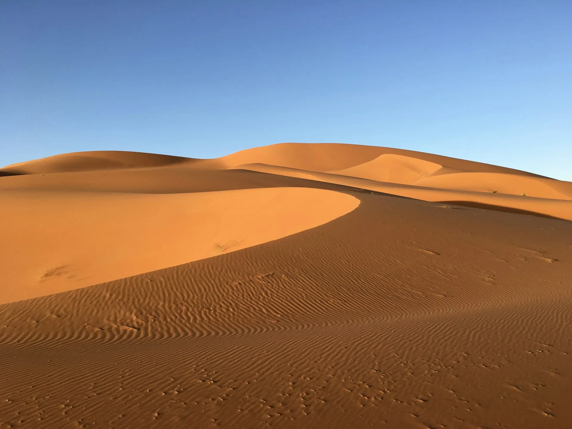 The dunes of Erg Chebbi near Merzouga, Morocco