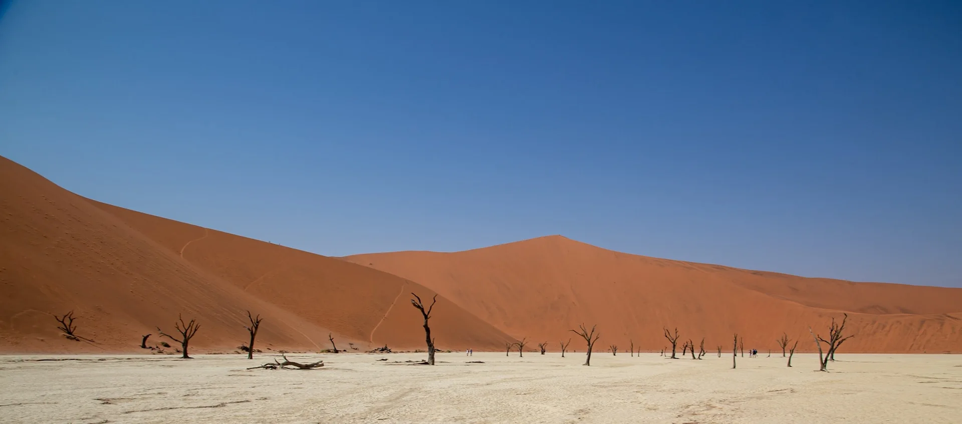 Dead acacia trees and dunes at Deadvlei, Namibia